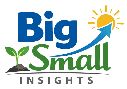 Big Small Insights logo
